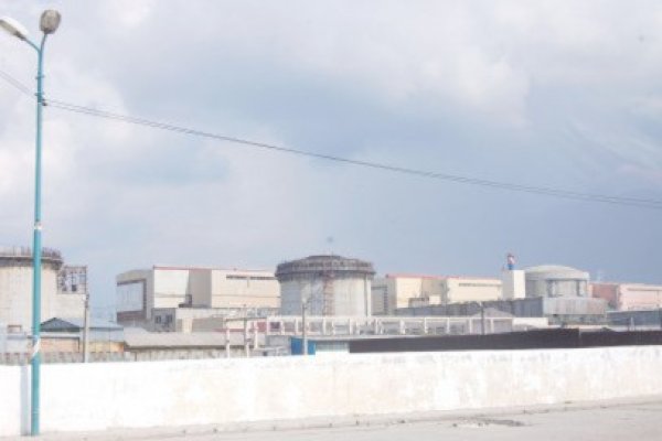 Nuclearelectrica vrea să vândă electricitate de aproape 15 milioane euro